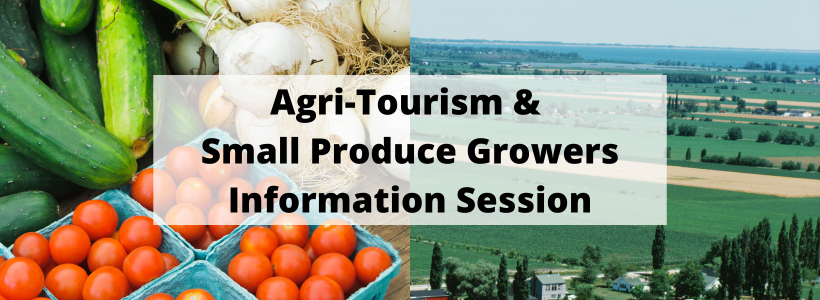 agri tourism business for sale